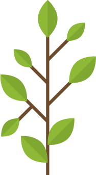 Growth with Digital Marketing